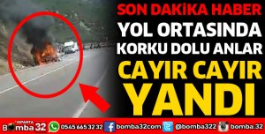 YOL ORTASINDA CAYIR CAYIR YANDI