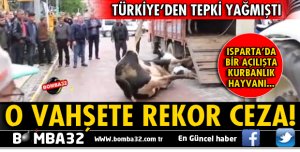 Yol ortasında kurban kesen belediyeye 8 bin lira ceza