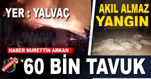 Yumurta Çiftliği Yandı, 60 Bin Tavuk Telef Oldu