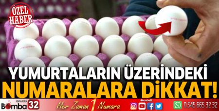 Yumurtaların üzerindeki numaralara dikkat!