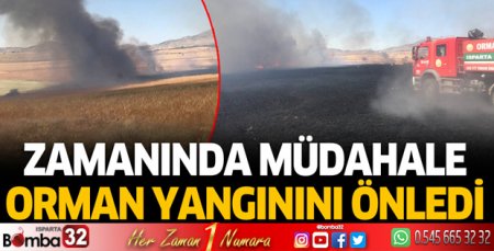 Zamanında müdahale orman yangınını önledi