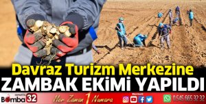 Zambak Ekimi Yapıldı