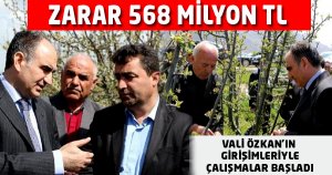 Zarar 568 milyon TL