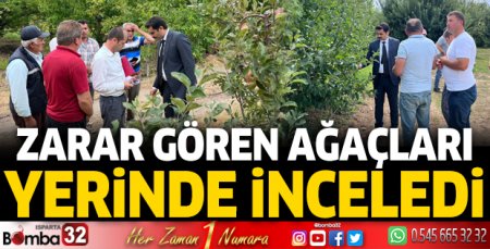 Zarar gören ağaçları yerinde inceledi