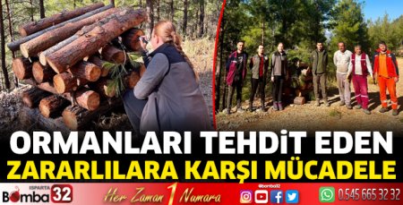 Zararlılarla mücadele hız kesmeden devam ediyor