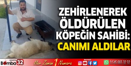 Zehirlenerek öldürülen köpeğin sahibi: Canımı aldılar