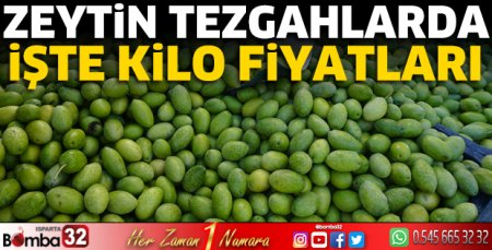 Zeytin tezgahlarda yerini aldı