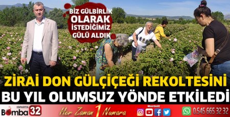 Zirai don gülçiçeği rekoltesini bu yıl olumsuz yönde etkiledi  