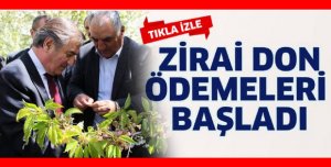 Zirai don ödemeleri yapılıyor