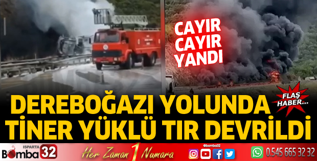 Tiner yüklü TIR devrildi