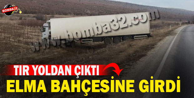 TIR YOLDAN ÇIKTI ELMA BAHÇESİNE GİRDİ