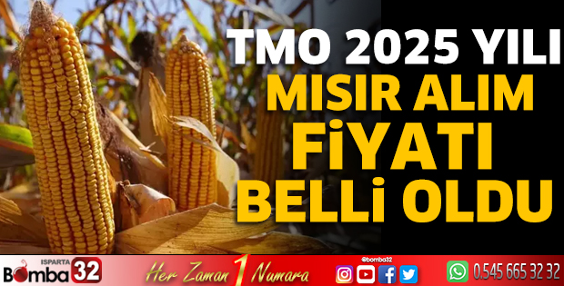 TMO 2025 yılı mısır alım fiyatı belli oldu