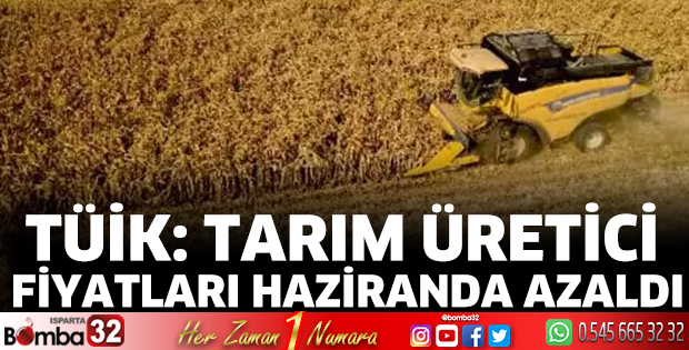 TÜİK: Tarım üretici fiyatları haziranda azaldı