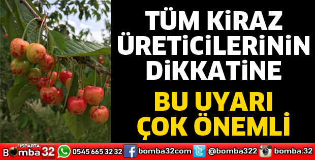 Tüm kiraz üreticilerinin dikkatine