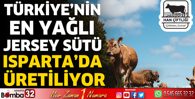 Türkiye’nin en yağlı jersey sütü Isparta’da üretiliyor