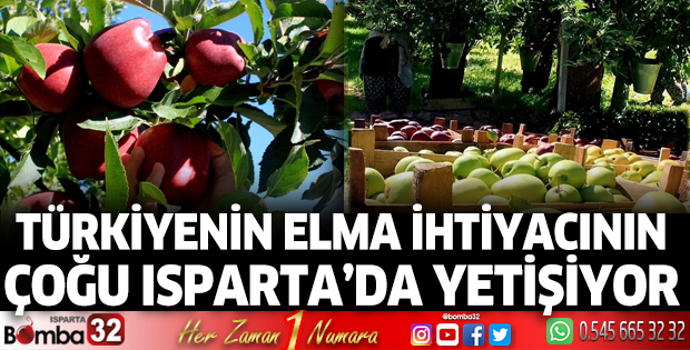 Türkiye'nin elma ihtiyacının çoğu Isparta'da yetişiyor