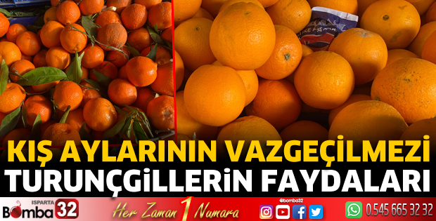 Turunçgillerin faydaları