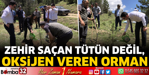Tütün tarlasına karşı orman mesajı