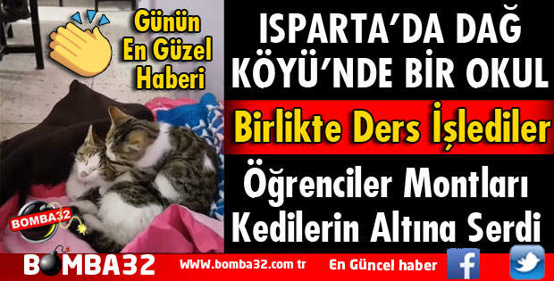 ÜŞÜYEN KEDİLERİ SINIFLARINDA MİSAFİR ETTİLER