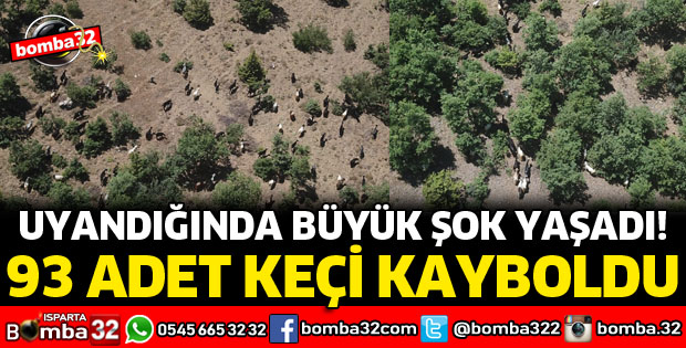 UYKUYA DALDI, 93 ADET KEÇİSİ KAYBOLDU