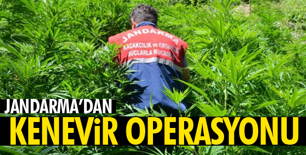 UYUŞTURUCUYA BÜYÜK DARBE! 