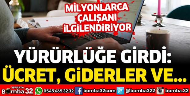 Uzaktan çalışma yönetmeliği Resmi Gazete'de yayımlandı