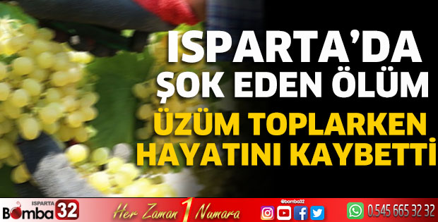Üzüm toplarken hayatını kaybetti