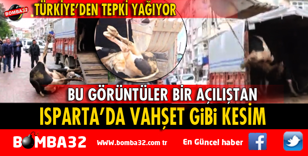 VAHŞET GİBİ KESİME TEPKİ YAĞIYOR