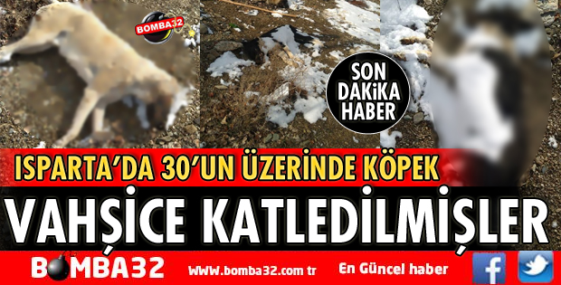 VAHŞİCE KATLEDİLDİLER