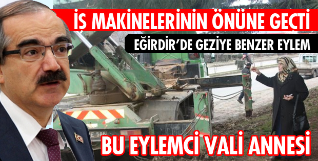 VALİ ANNESİNDEN AĞAÇ KATLİAMINA TEPKİ