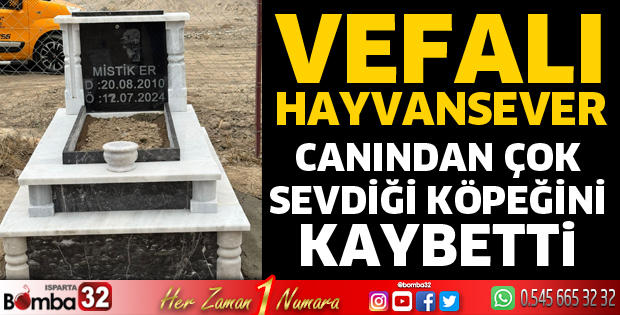 Vefalı hayvansever