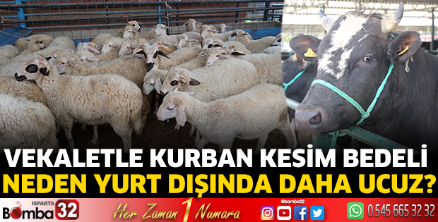 Vekaletle kurban kesim bedeli neden yurt dışında daha ucuz?