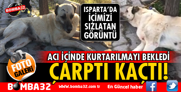 VİCDANSIZ SÜRÜCÜ ÇARPTI KAÇTI