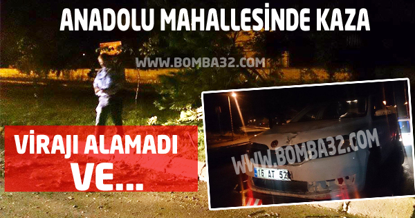 Virajı Alamayan Otomobil Ağaç Devirdi!