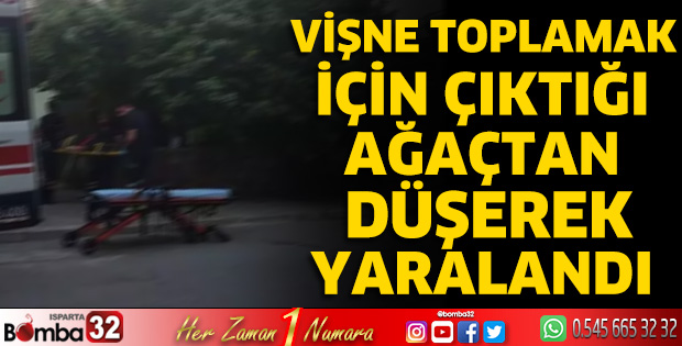 Vişne toplamak için çıktığı ağaçtan düşerek yaralandı