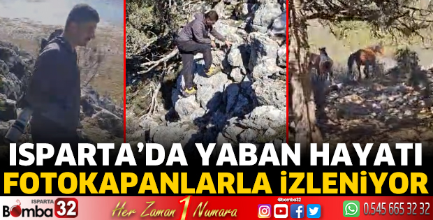 Yaban hayatı fotokapanlarla izleniyor