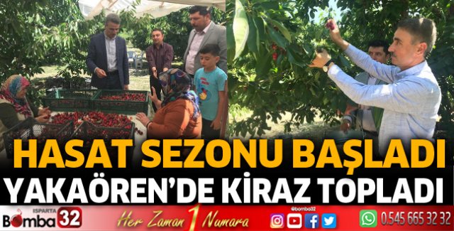 Yakaören Köyü’nde kiraz hasadı başladı