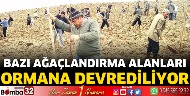 Yalvaç’taki bazı ağaçlandırma alanları ormana devrediliyor