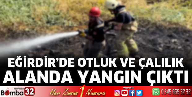 Yangın paniği