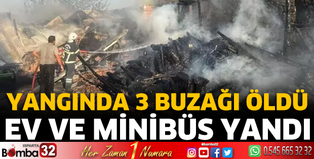 Yangında 3 buzağı öldü, ev ve minibüs yandı