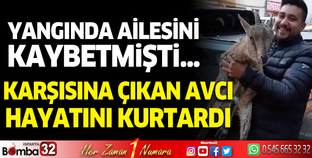 Yangında ailesini kaybeden dağ keçisi yavrusunu avcı kurtardı