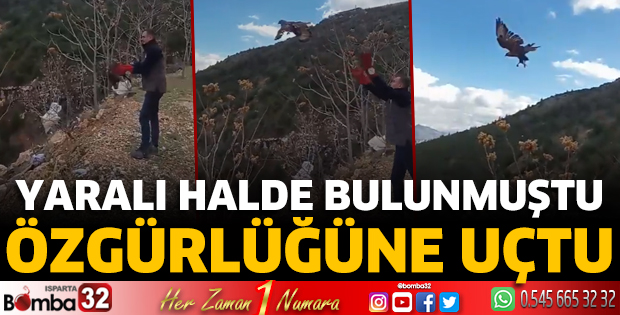 Yaralı halde bulunmuştu