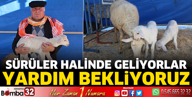 Yardım bekliyoruz