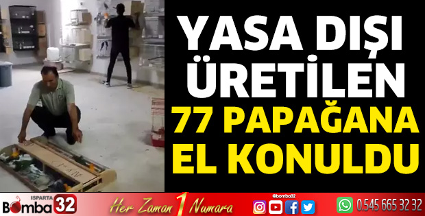 Yasa dışı üretilen 77 papağana el konuldu