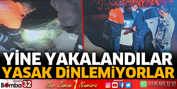 Yasak dinlemiyorlar 