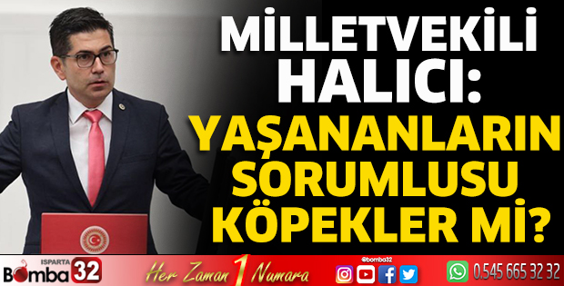 Yaşananların sorumlusu köpekler mi?