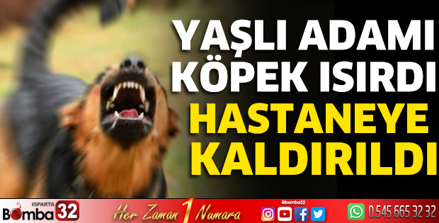 Yaşlı adamı köpek ısırdı hastaneye kaldırıldı 