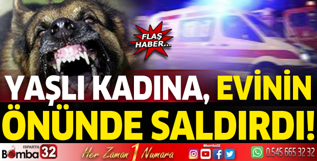Yaşlı kadına evinin önünde köpek saldırdı