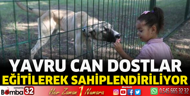 Yavru can dostlar eğitilerek sahiplendiriliyor