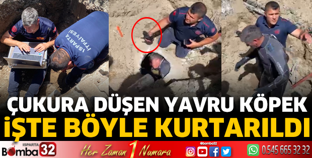 Yavru köpek işte böyle kurtarıldı 